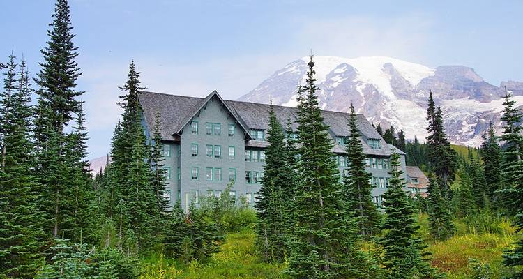 Mount Rainier Inn Based Tour - Wildland Trekking 4