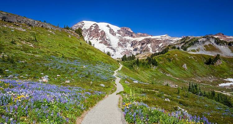 Mount Rainier Inn Based Tour - Wildland Trekking 6