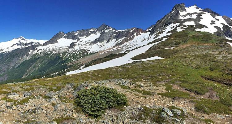Cascade Pass Sahale Glacier - Wildland Trekking 3