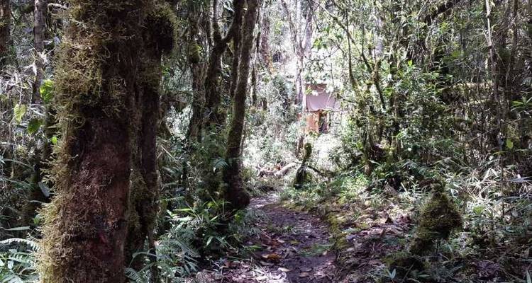 Trek dans la jungle inca jusqu'à Machu Picchu, visite de la prison inca et du café - vélo, rafting, tyrolienne - CondeTravel 2