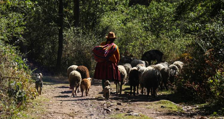 Lares trek to Machu Picchu 4D/3N Tour - CondeTravel 6