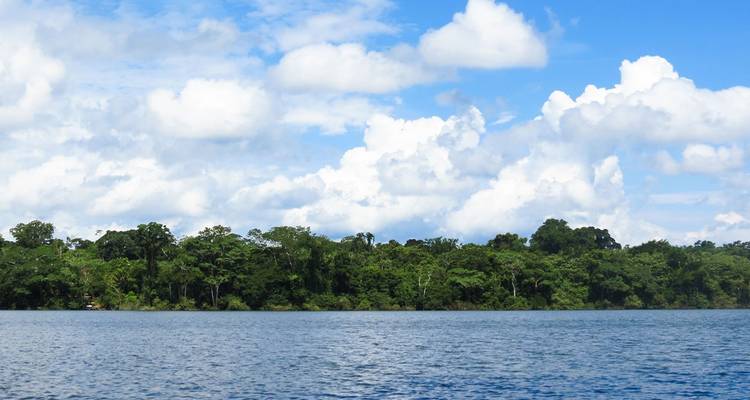 Une large rivière bordée d'une forêt dense sous un ciel bleu.