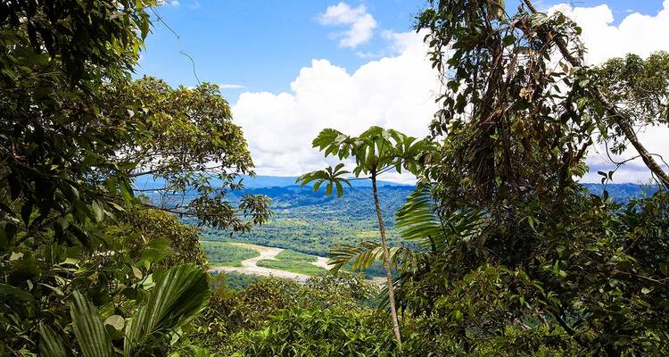 Parc national de Manu - Circuit 3D- 2N - CondeTravel 4