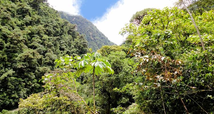 Parc national de Manu - Circuit 3D- 2N - CondeTravel 6