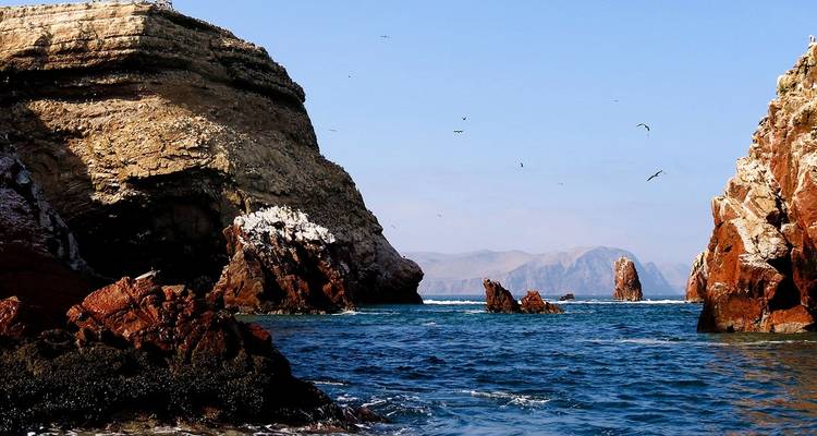 Vue sur la mer avec des falaises rocheuses et des oiseaux qui volent au-dessus.