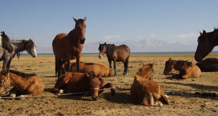 Les points forts du Kirghizistan et du Kazakhstan - G Adventures 4
