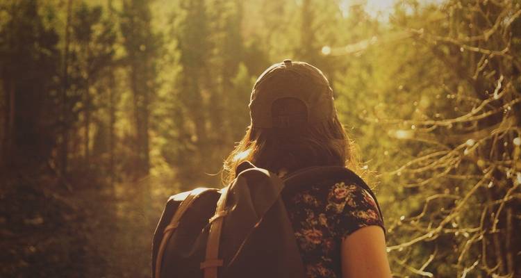 Rückansicht eines Wanderers mit Mütze und Rucksack in einem sonnenbeschienenen Wald.