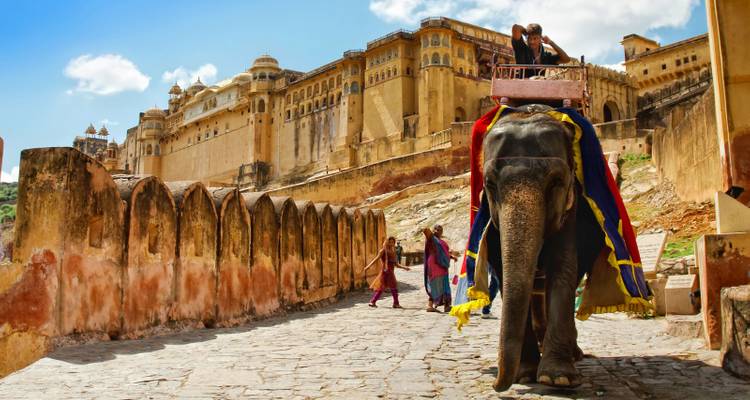 Un éléphant richement décoré transportant des gens près d'un fort ancien.