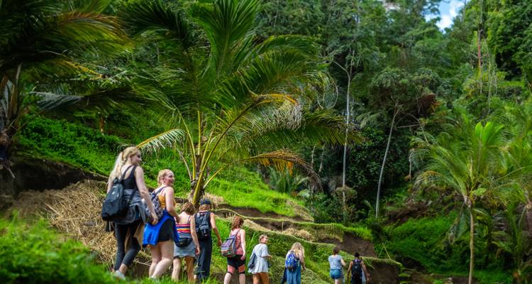 Backpackers trekken door weelderige terrasvormige heuvelhelling omzoomd met palmbomen in tropisch Indonesië