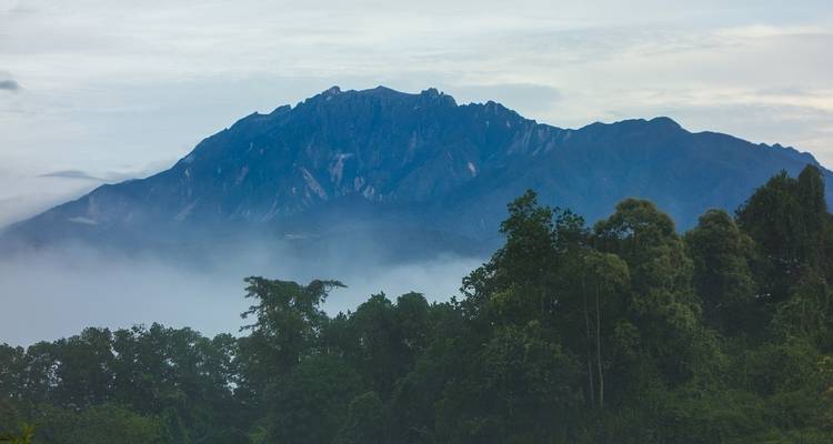 Majestueuze bergtop omringd door bos en mist.