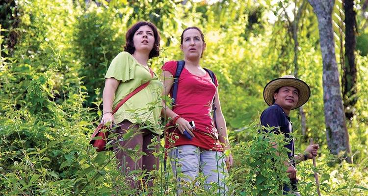 Bornéo classique (including Sanctuaire de faune de Kinabatangan) - Intrepid Travel 10