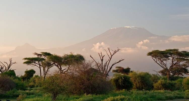 Serengeti et Kilimandjaro - Intrepid Travel 3