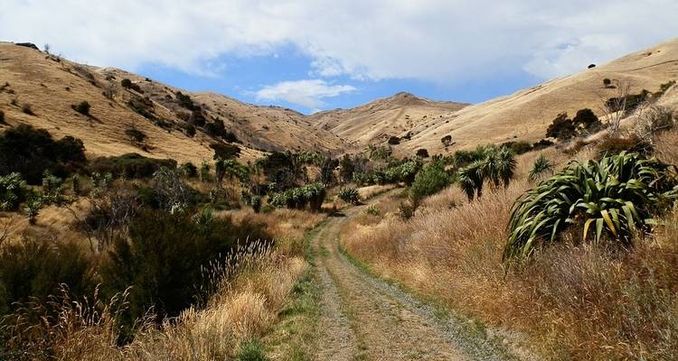 Journeys: Discover New Zealand National Geographic Journeys - National Geographic Journeys with G Adventures 8