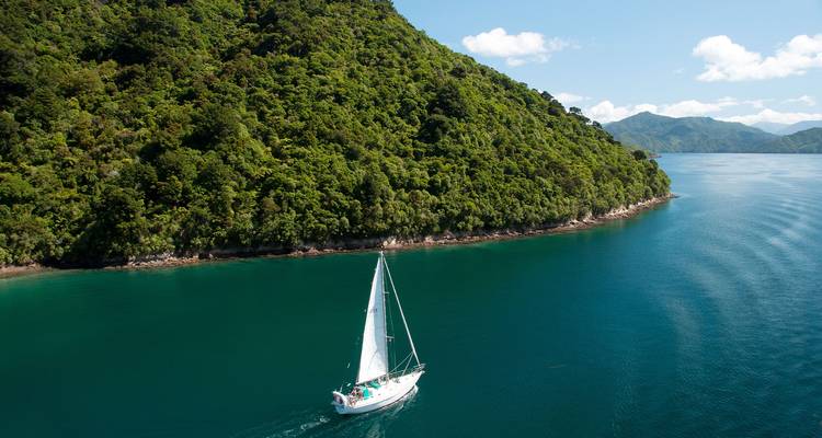 Velero blanco se desliza por agua esmeralda junto a un cabo densamente boscoso.