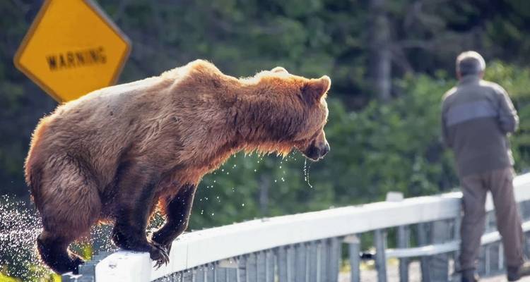 Outdoor Alaska - Explore! 1