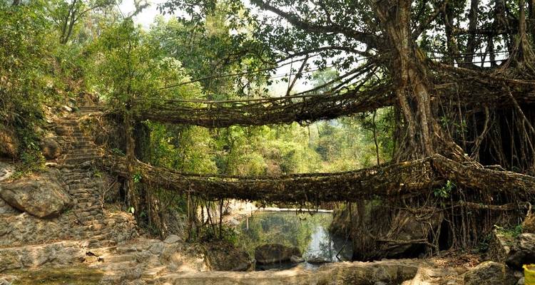 Highlights of Assam and Nagaland (Hornbill Festival) - Explore! 9