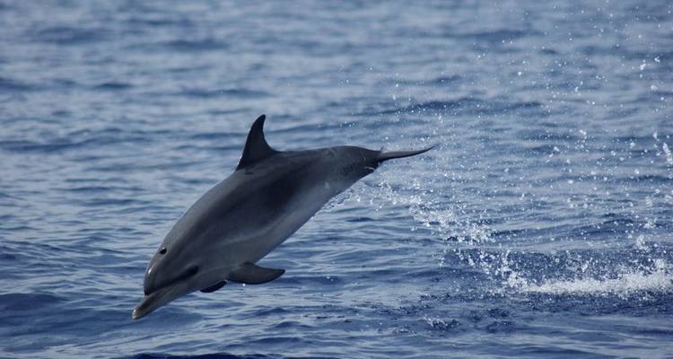 Senderismo en las Azores - Explore! 7