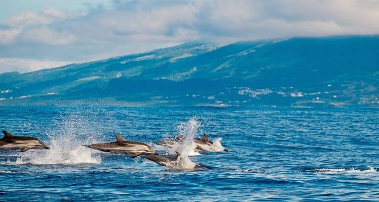 Senderismo en las Azores - Explore! 10