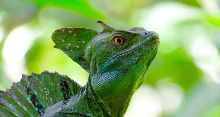 Les points forts du Costa Rica - Explore! 2
