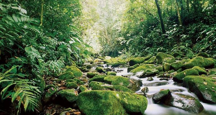 Highlights of Costa Rica - Explore! 8