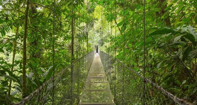Les points forts du Costa Rica - Explore! 8