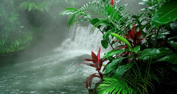 Highlights of Costa Rica - Explore! 4