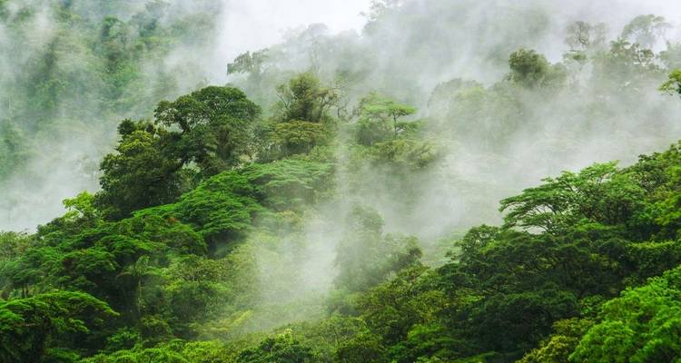 Les points forts du Costa Rica - Explore! 6