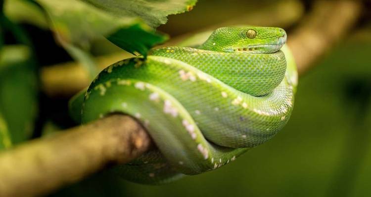 Les points forts du Costa Rica - Explore! 1