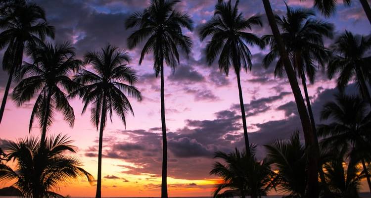 Lo mejor de Costa Rica + extensión de playa - Explore! 4