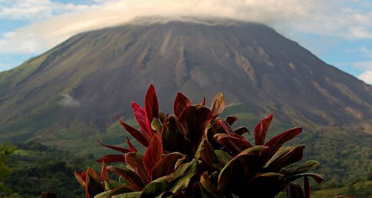 Lo mejor de Costa Rica + extensión de playa - Explore! 10