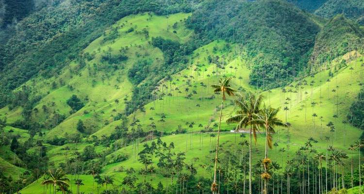 Contrastes de Colombia - Explore! 7