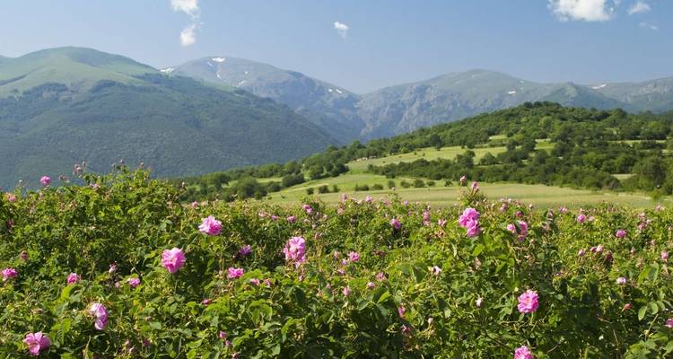 Best of Bulgaria - Explore! 3