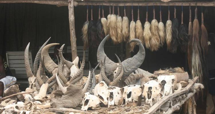 Benin and Togo Voodoo Discovery - Explore! 3