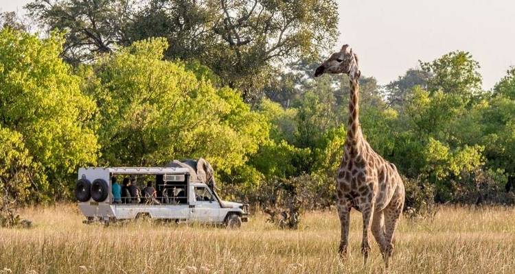 Botswana Wildlife Safari - Explore! 7