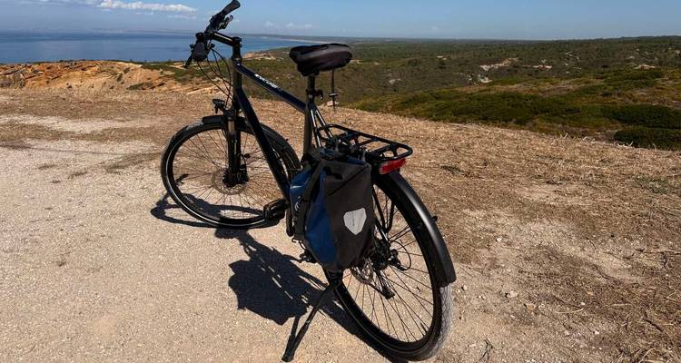 Bicicleta estacionada en un sendero con vista a un paisaje costero.