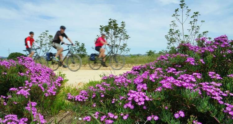 Cycle Portugal - Lisbon to Algarve - Explore! 10