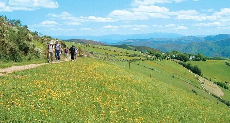 Walking the Camino de Santiago - Explore! 4
