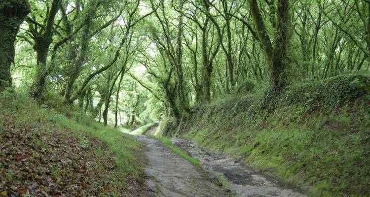 Walking the Camino de Santiago - Explore! 8