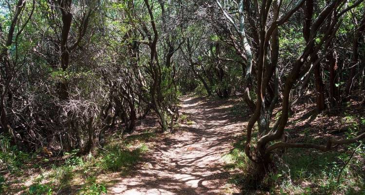 Corfou Trail Walking - Nord et Sud - Explore! 8
