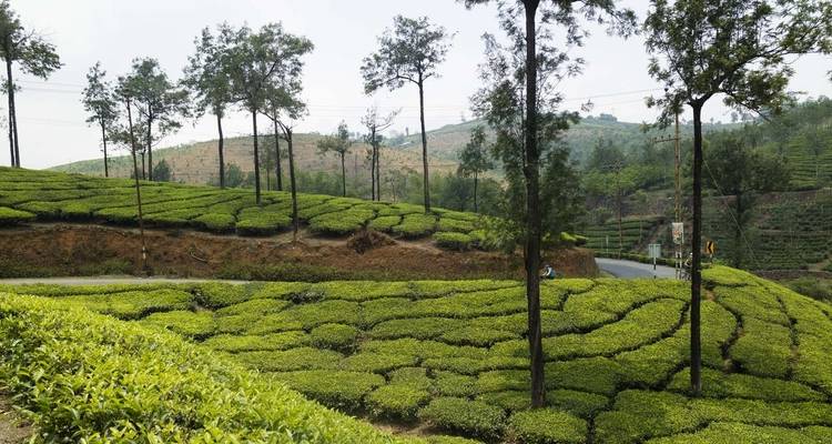 Cycle Kerala - Explore! 6