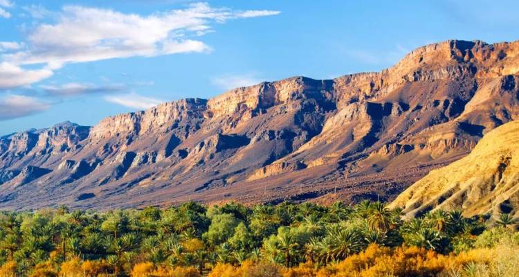 Des falaises orange escarpées s'élèvent au-dessus d'une oasis verdoyante de palmiers sous un ciel bleu dans le sud du Maroc.