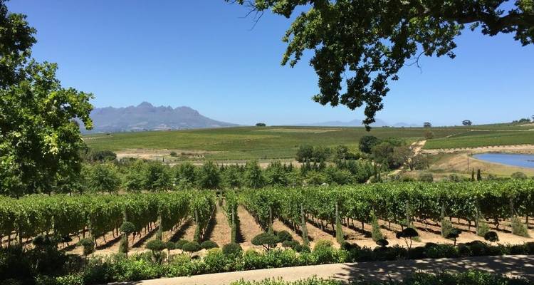 Cycle Afrique du Sud - Explore! 4