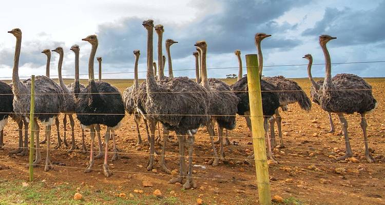 Cycle Afrique du Sud - Explore! 6