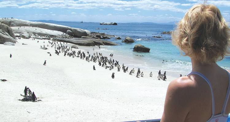 Cycle Afrique du Sud - Explore! 8