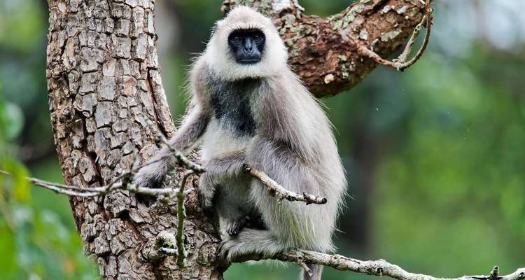 Les points forts de l'Inde du Sud - Explore! 6