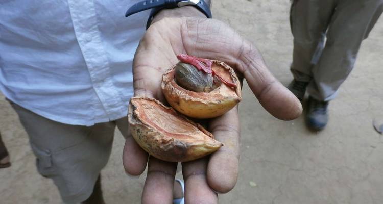Les points forts de l'Inde du Sud - Explore! 4