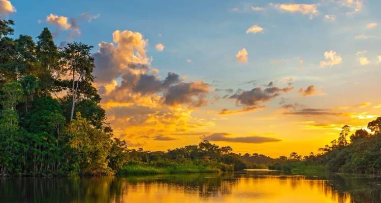 Un coucher de soleil doré se reflète sur une rivière de jungle calme bordée par la dense forêt tropicale amazonienne.