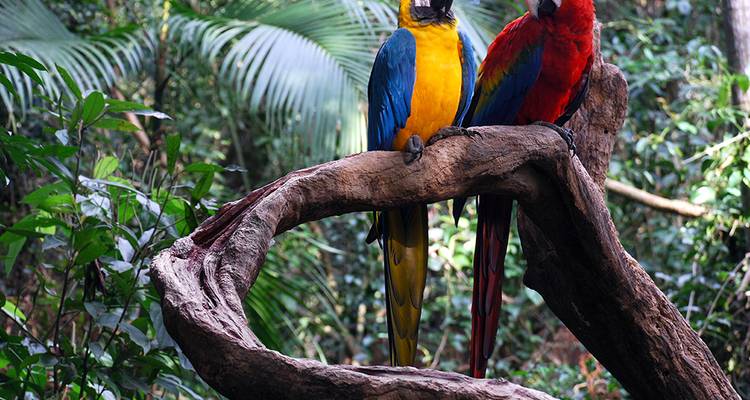 Upgraded - Discover Peru + the Amazon - Explore! 7