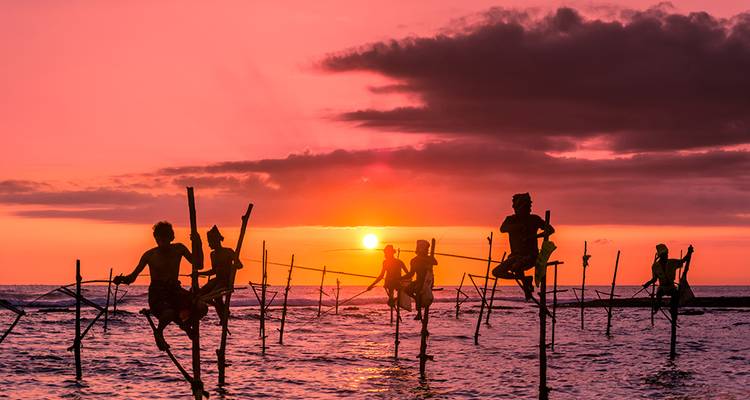 Upgraded - Discover Sri Lanka - Explore! 7