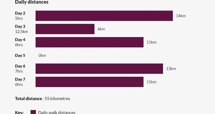 Gráfico que muestra las distancias diarias de caminata durante una semana.